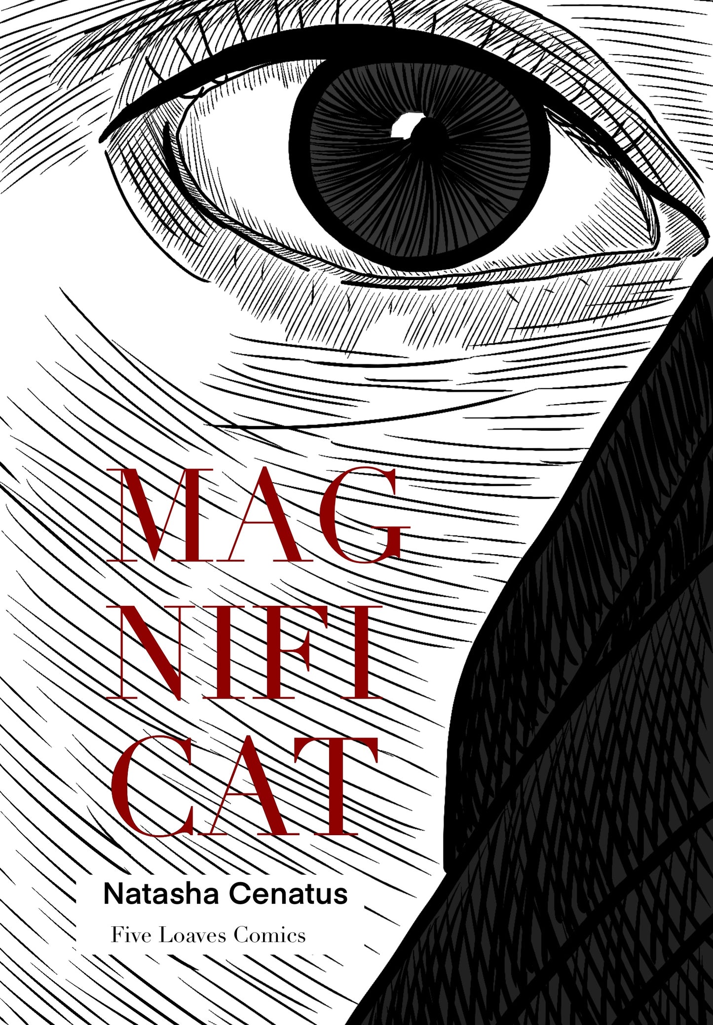 Magnificat Prayer - Mini Comic